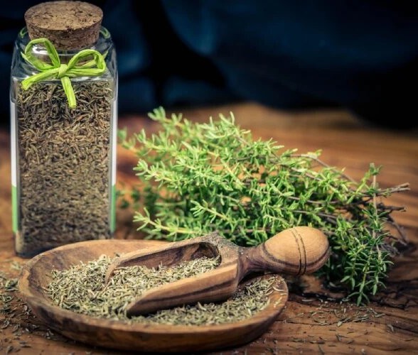 داروی گیاهی ترک قلیان